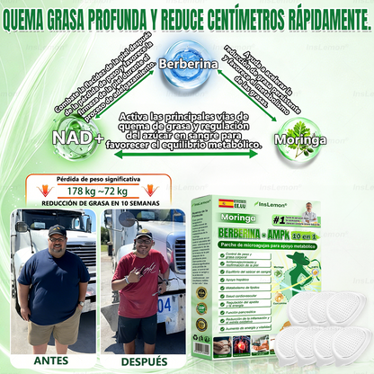 𝐈𝐧𝐬𝐋𝐞𝐦𝐨𝐧® 𝗠𝗼𝗿𝗶𝗻𝗴𝗮 × 𝗕𝗲𝗿𝗯𝗲𝗿𝗶𝗻𝗮 × 𝗔𝗠𝗣𝗞 𝟭𝟬-𝗶𝗻-𝟭 𝗣𝗮𝗿𝗰𝗵𝗲 𝗠𝗲𝘁𝗮𝗯𝗼𝗹𝗶𝗰𝗼 𝗱𝗲 𝗡𝗮𝗻𝗼 𝗠𝗶𝗰𝗿𝗼𝗮𝗴𝗵𝗮 (🇪 Solo una vez al día, cambios visibles en 7 días) ✅ Para sobrepeso, diabetes, apnea del sueño, problemas articulares y más