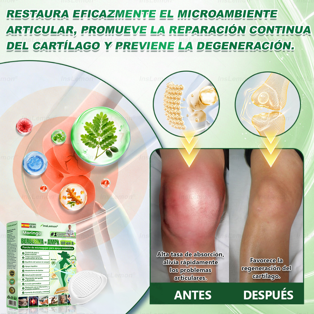 𝐈𝐧𝐬𝐋𝐞𝐦𝐨𝐧® 𝗠𝗼𝗿𝗶𝗻𝗴𝗮 × 𝗕𝗲𝗿𝗯𝗲𝗿𝗶𝗻𝗮 × 𝗔𝗠𝗣𝗞 𝟭𝟬-𝗶𝗻-𝟭 𝗣𝗮𝗿𝗰𝗵𝗲 𝗠𝗲𝘁𝗮𝗯𝗼𝗹𝗶𝗰𝗼 𝗱𝗲 𝗡𝗮𝗻𝗼 𝗠𝗶𝗰𝗿𝗼𝗮𝗴𝗵𝗮 (🇪 Solo una vez al día, cambios visibles en 7 días) ✅ Para sobrepeso, diabetes, apnea del sueño, problemas articulares y más